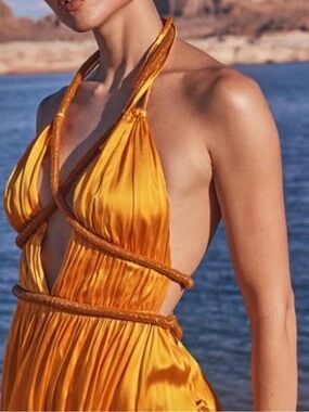 Cult Gaia Salee Satin Maxi Dress